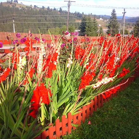 Romashka Gasthof Jablunyzja