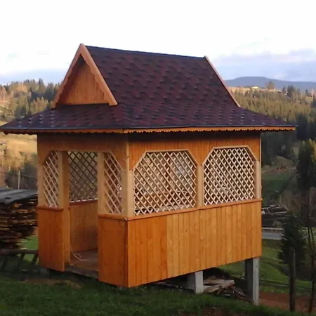 Romashka * Yablunytsia