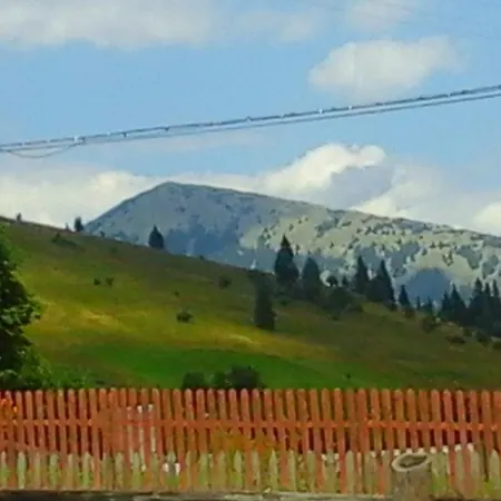 Romashka Maison d'hôtes