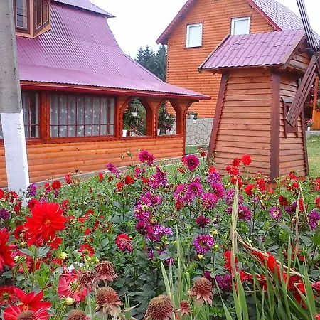 Maison d'hôtes Romashka *