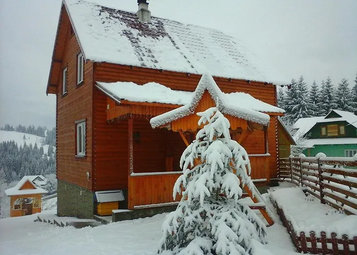 Maison d'hôtes Romashka